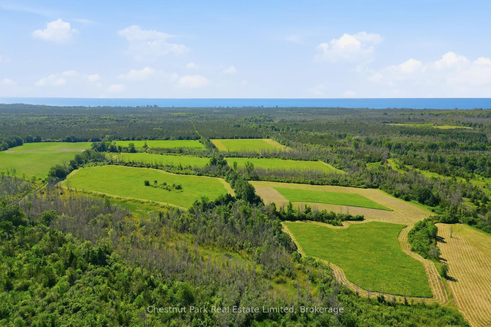 647 Helmer Road photo 24
