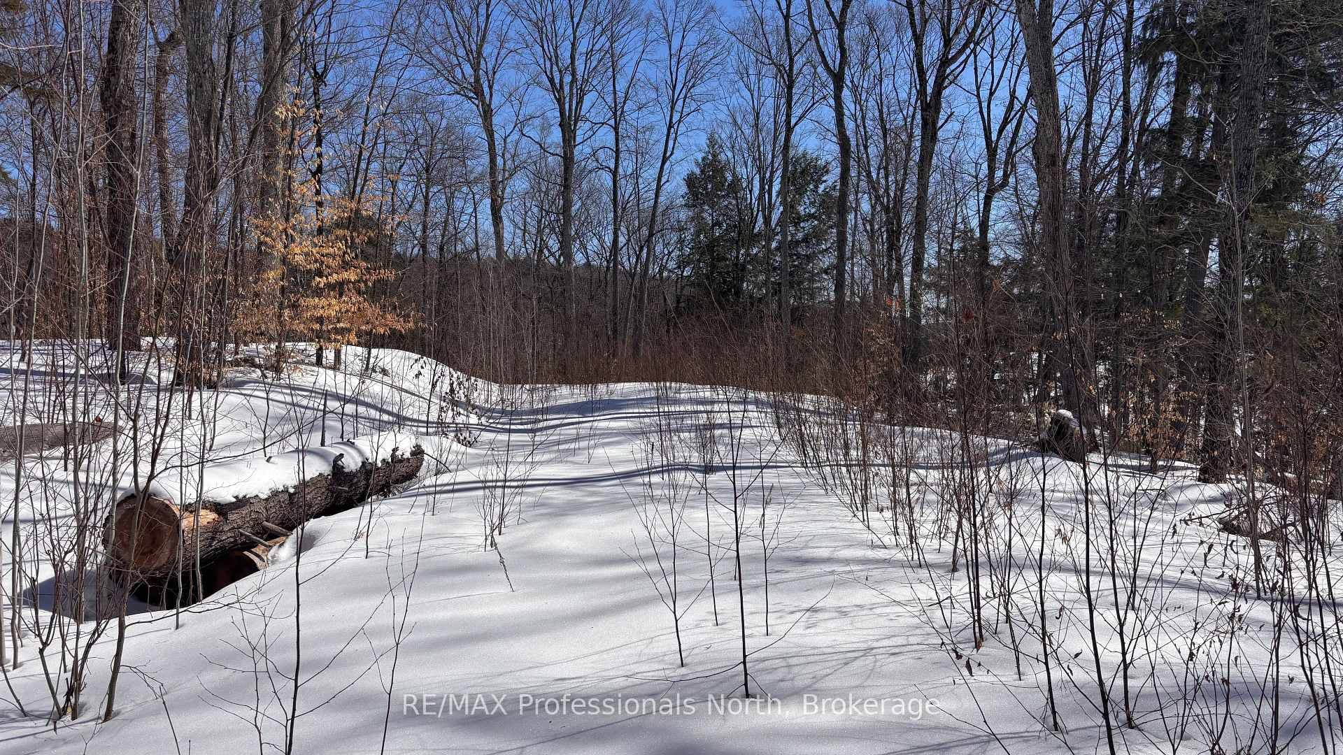 Lot 26 Flatwater Cove Trail photo 8
