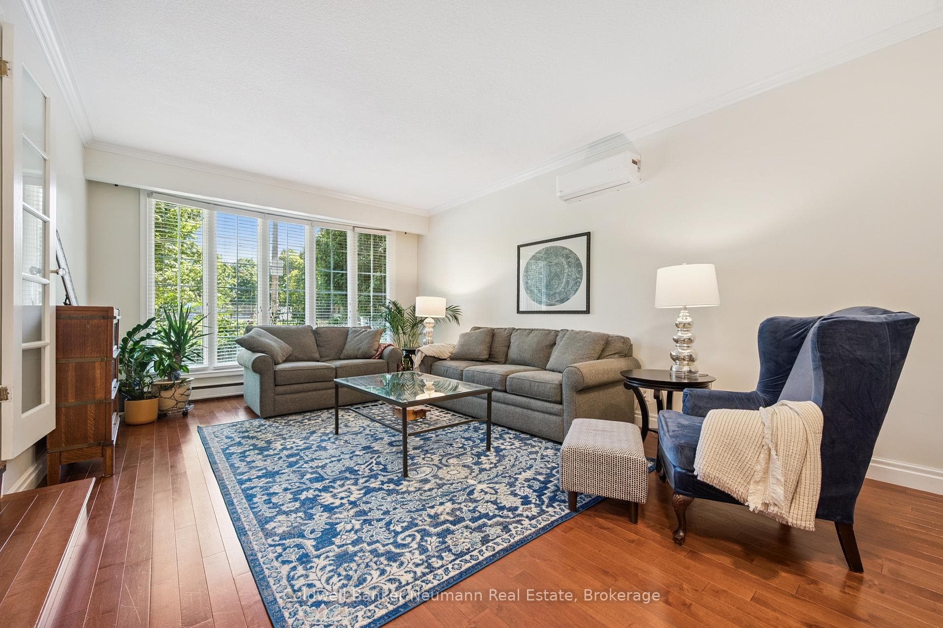 136 Palmer Street photo 7