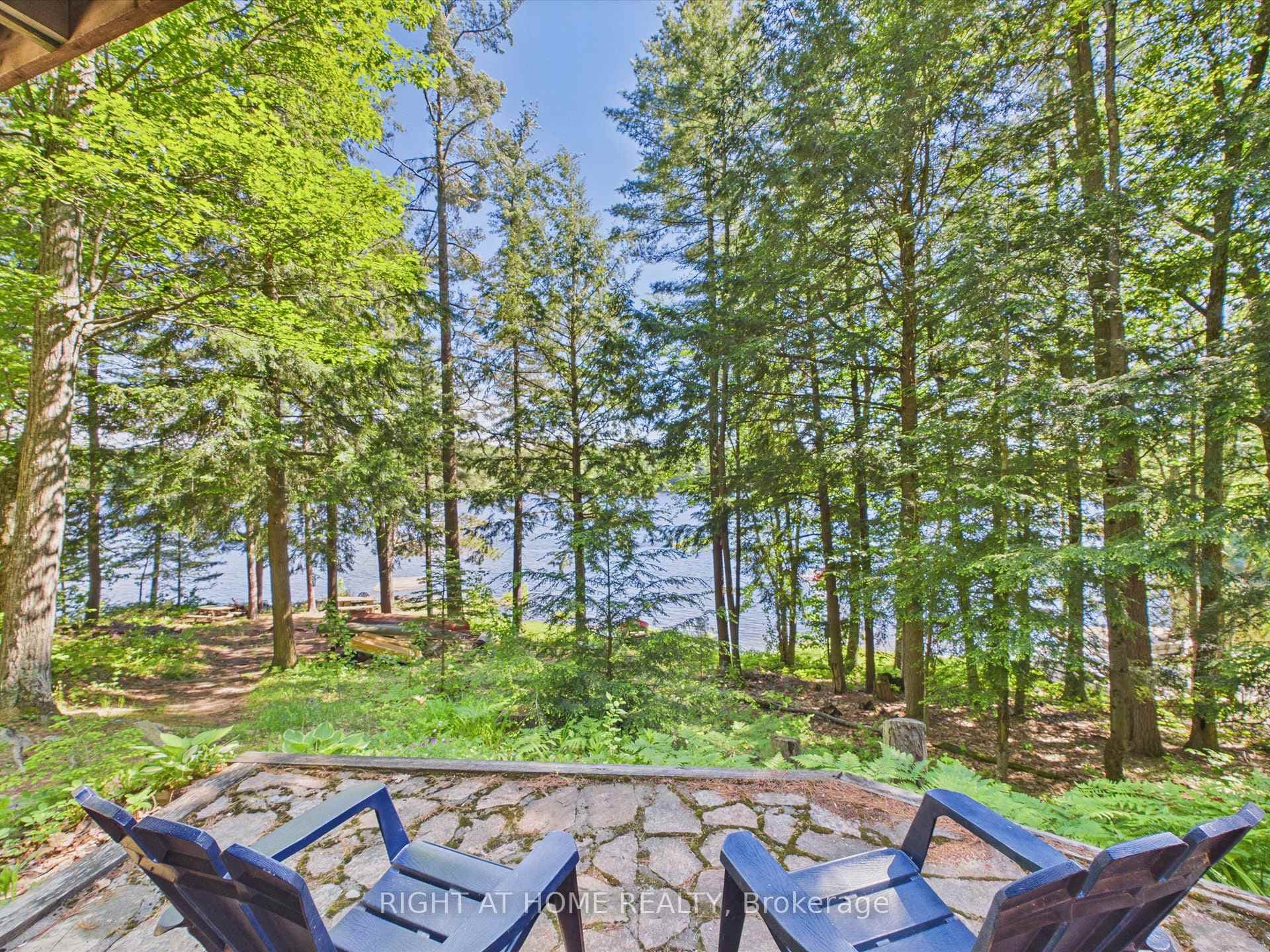 1527 Moon River Road photo 28