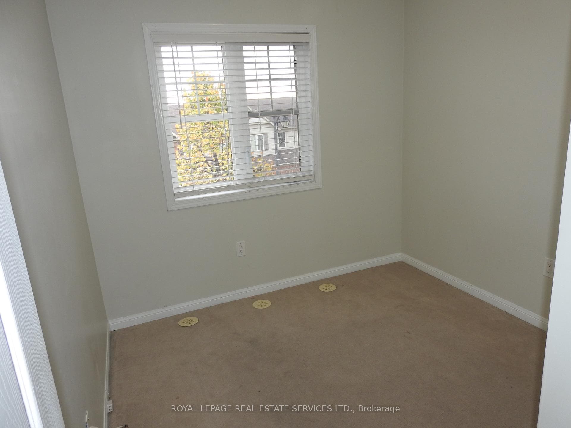56 Finney Terrace photo 19