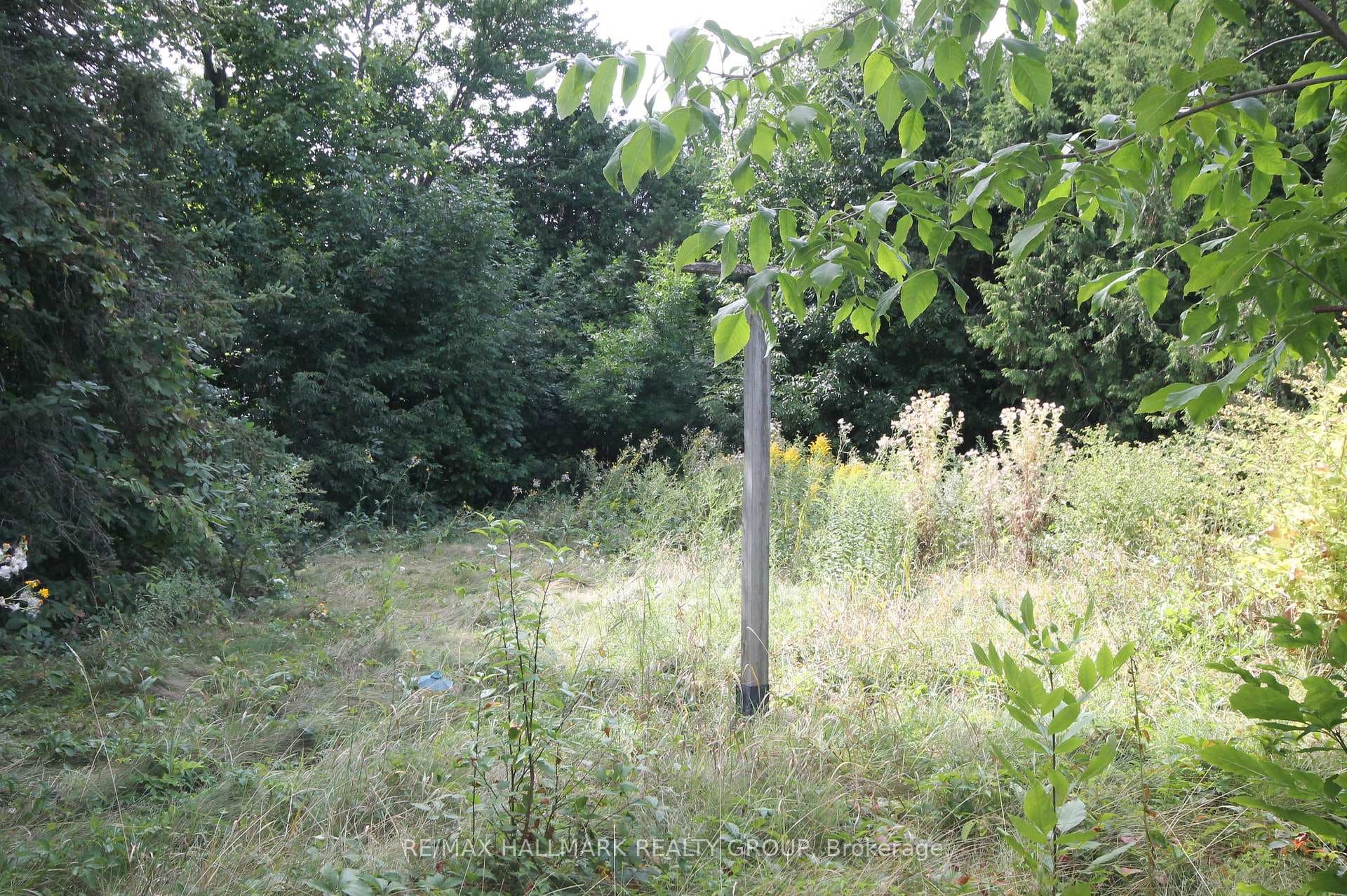 2516 Page Road photo 16