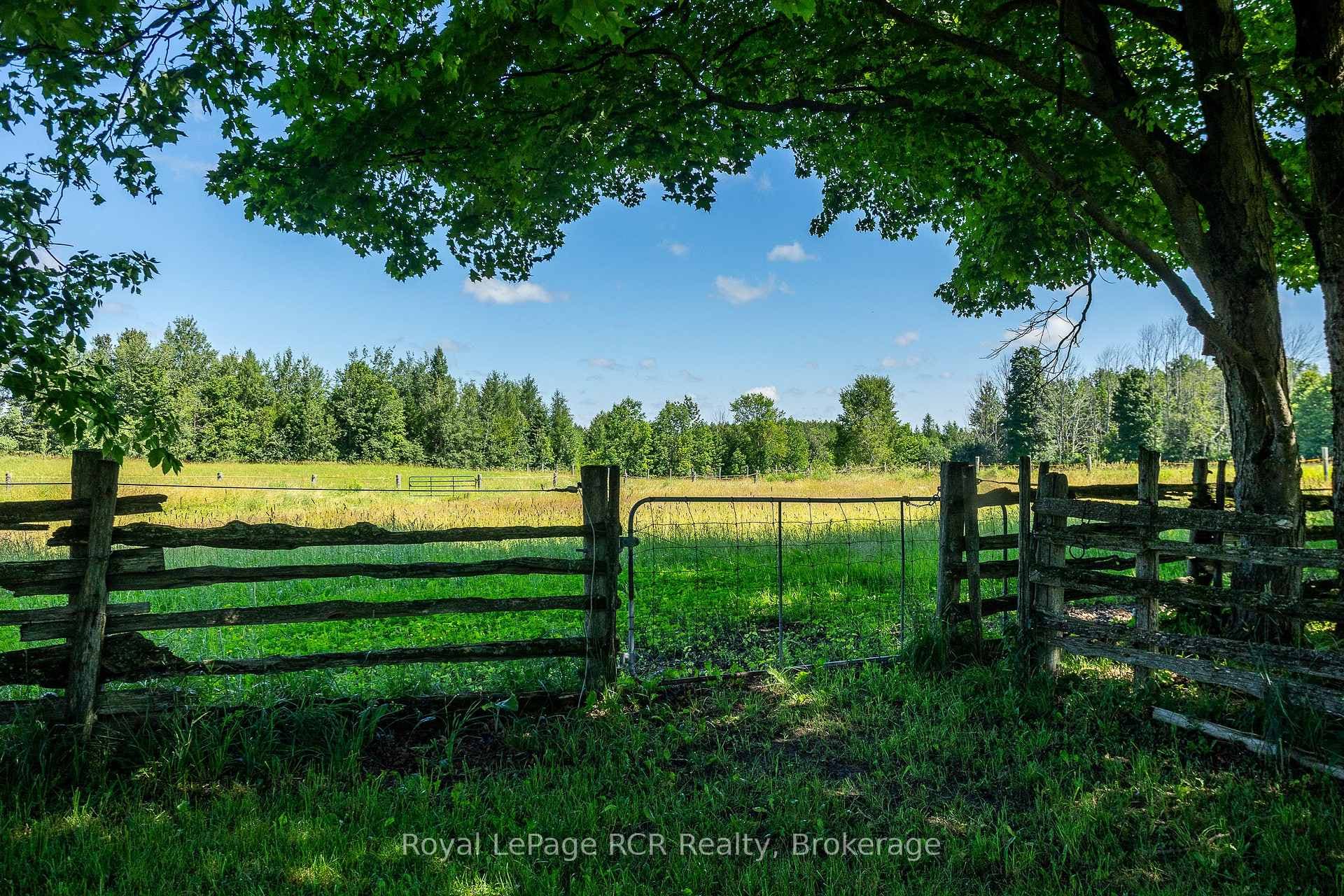 404683 Grey Road 4 N/A photo 36