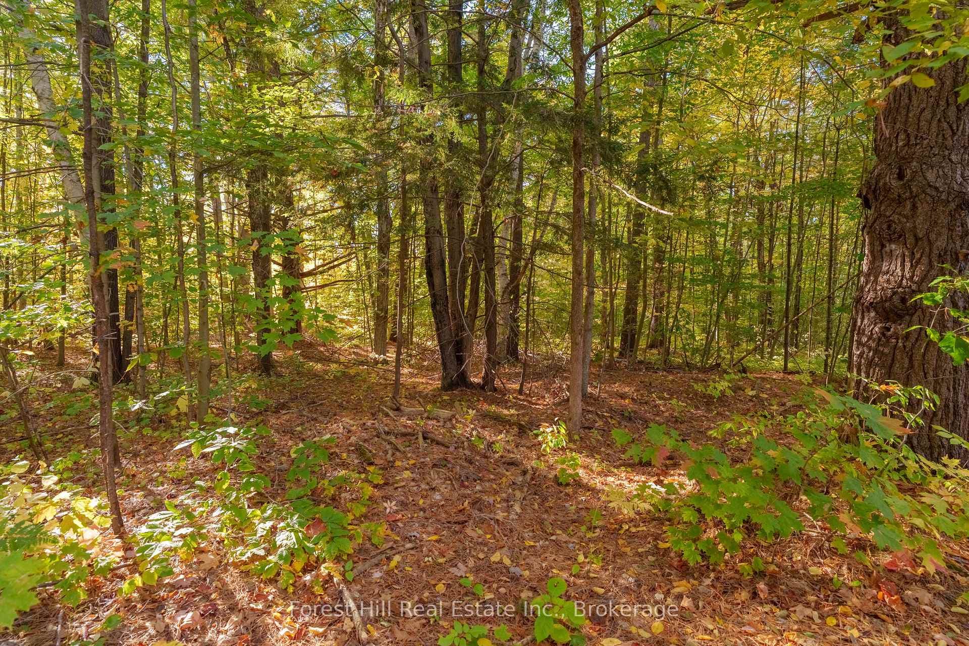 3864 Highway 118 N/A photo 33