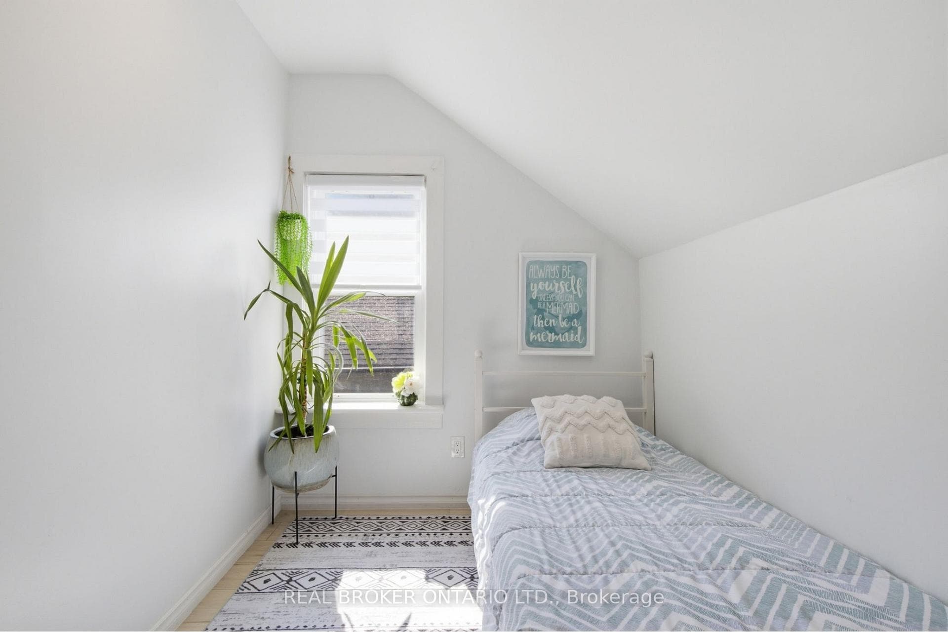 520 Elma Street photo 30