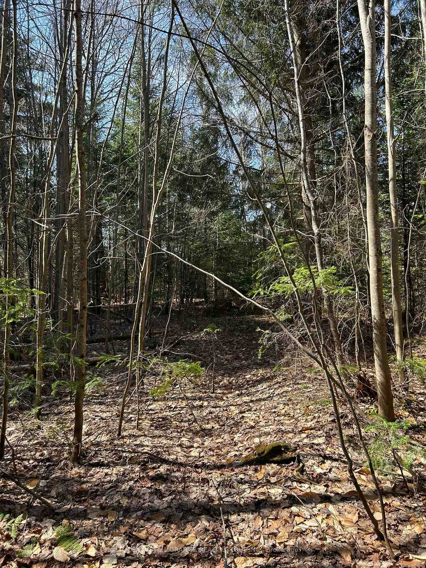 0 Madawaska Road photo 6