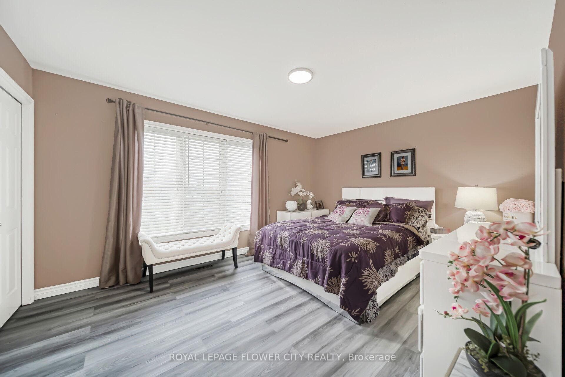 14 Stardust Drive photo 16