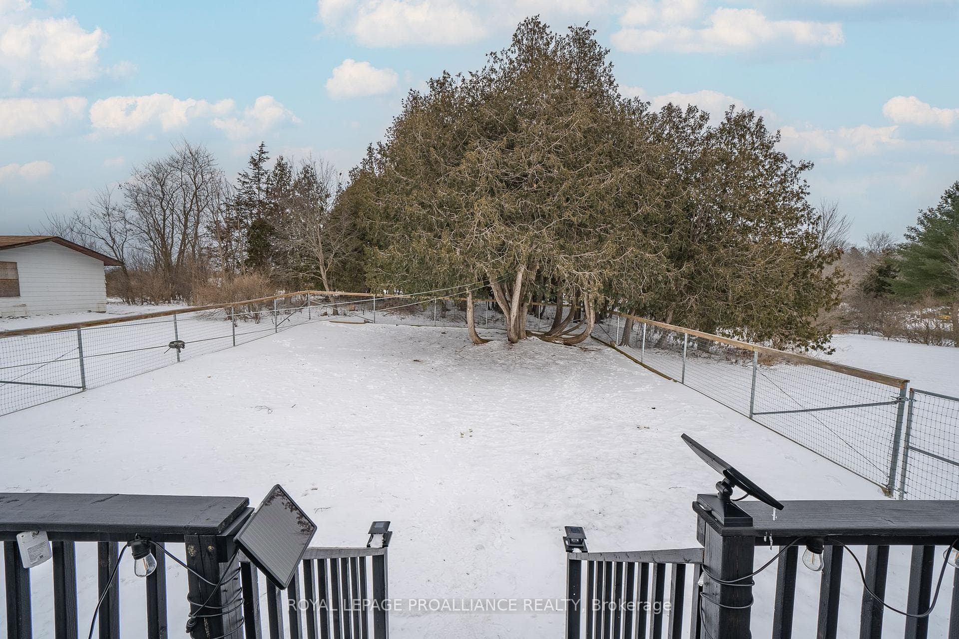 43 Pine Grove Road photo 25
