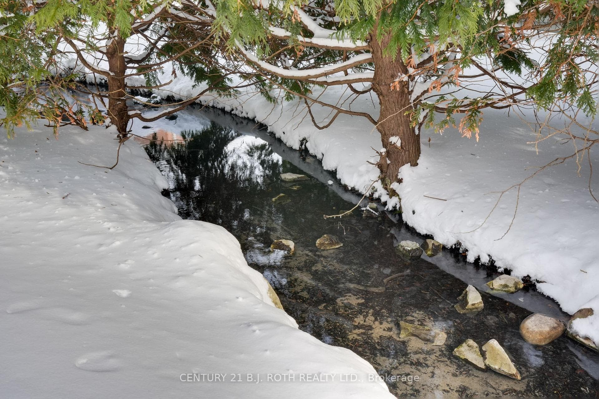 116 Burton Avenue photo 44