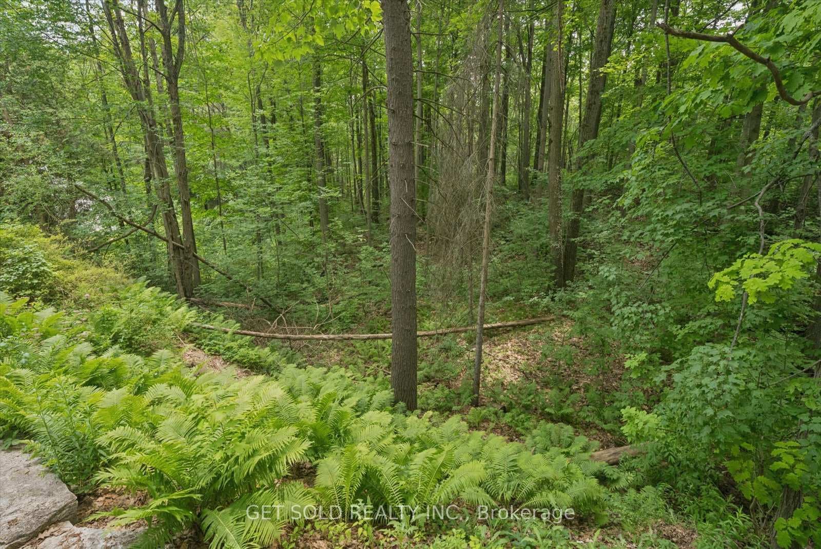 80 White Pine Trail photo 16