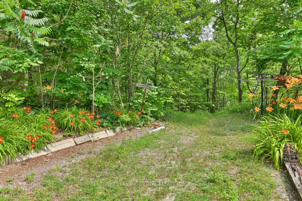 656 A Yarrow Lane photo 32