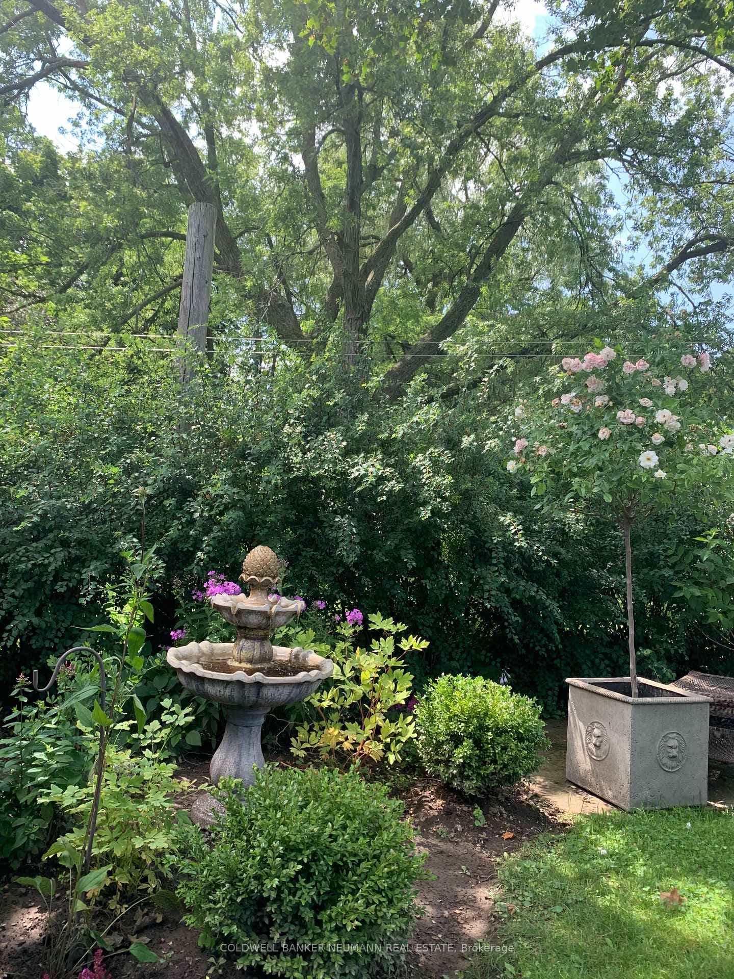 14 Laurine Avenue photo 36