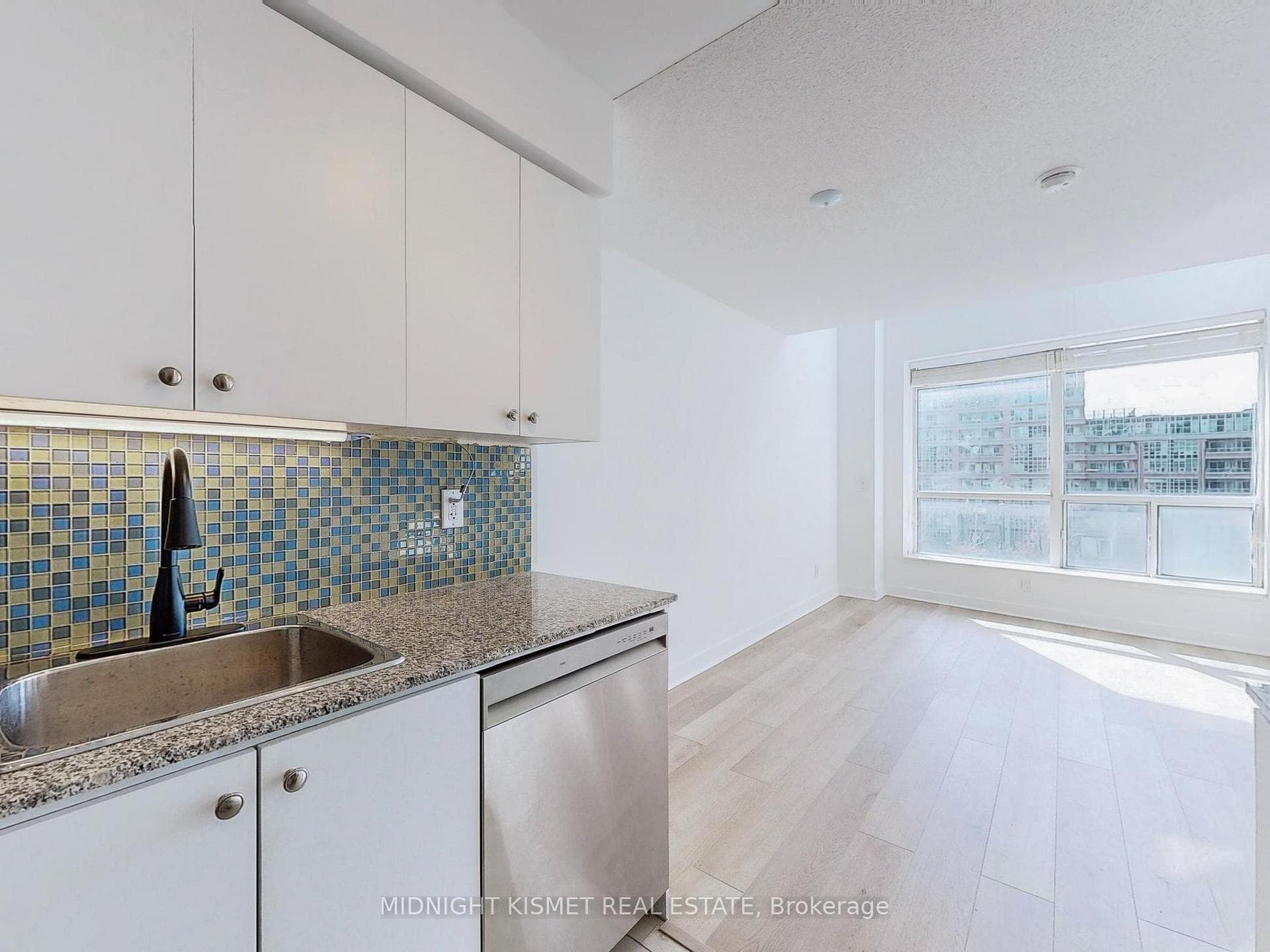 50 Lynn Williams Street Unit 216 photo 17