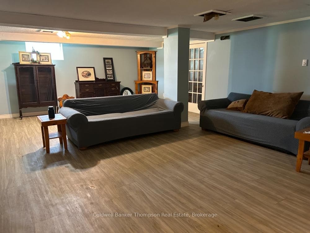 Lower level family room