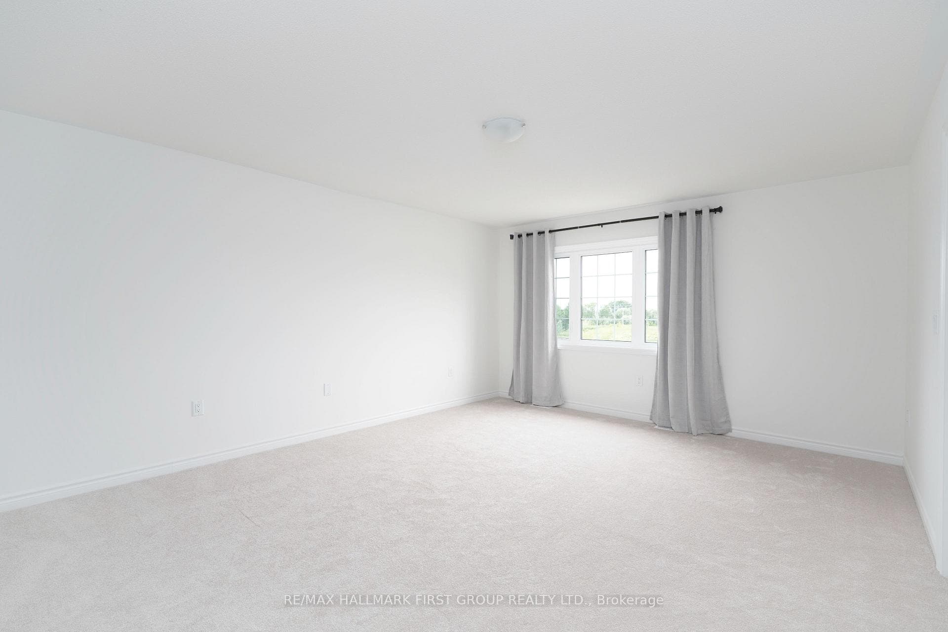 8 Velvet Drive photo 22