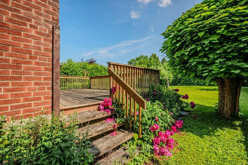 339 Pinegrove Road photo 35