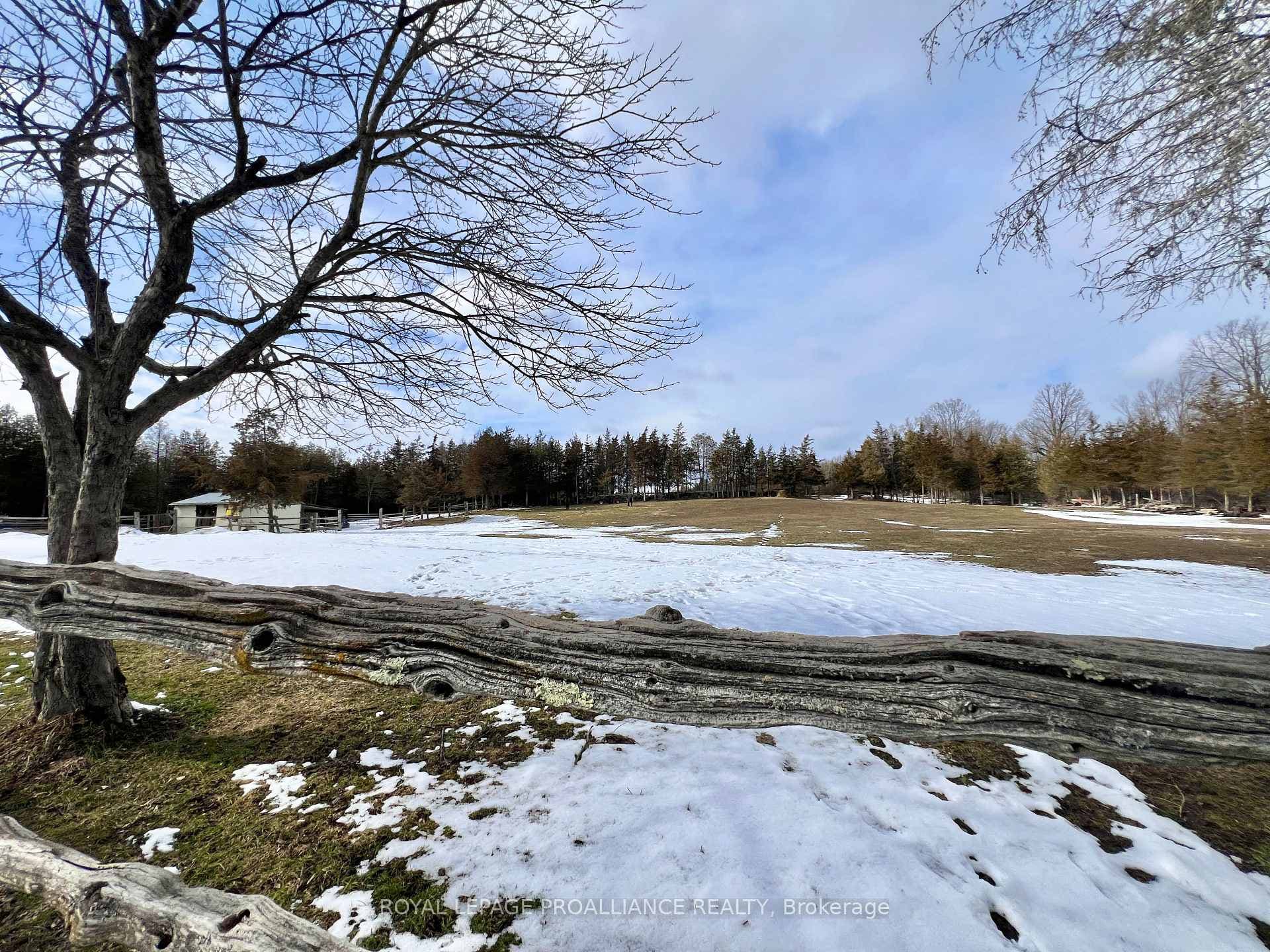 29 Goodfellow Lane photo 34