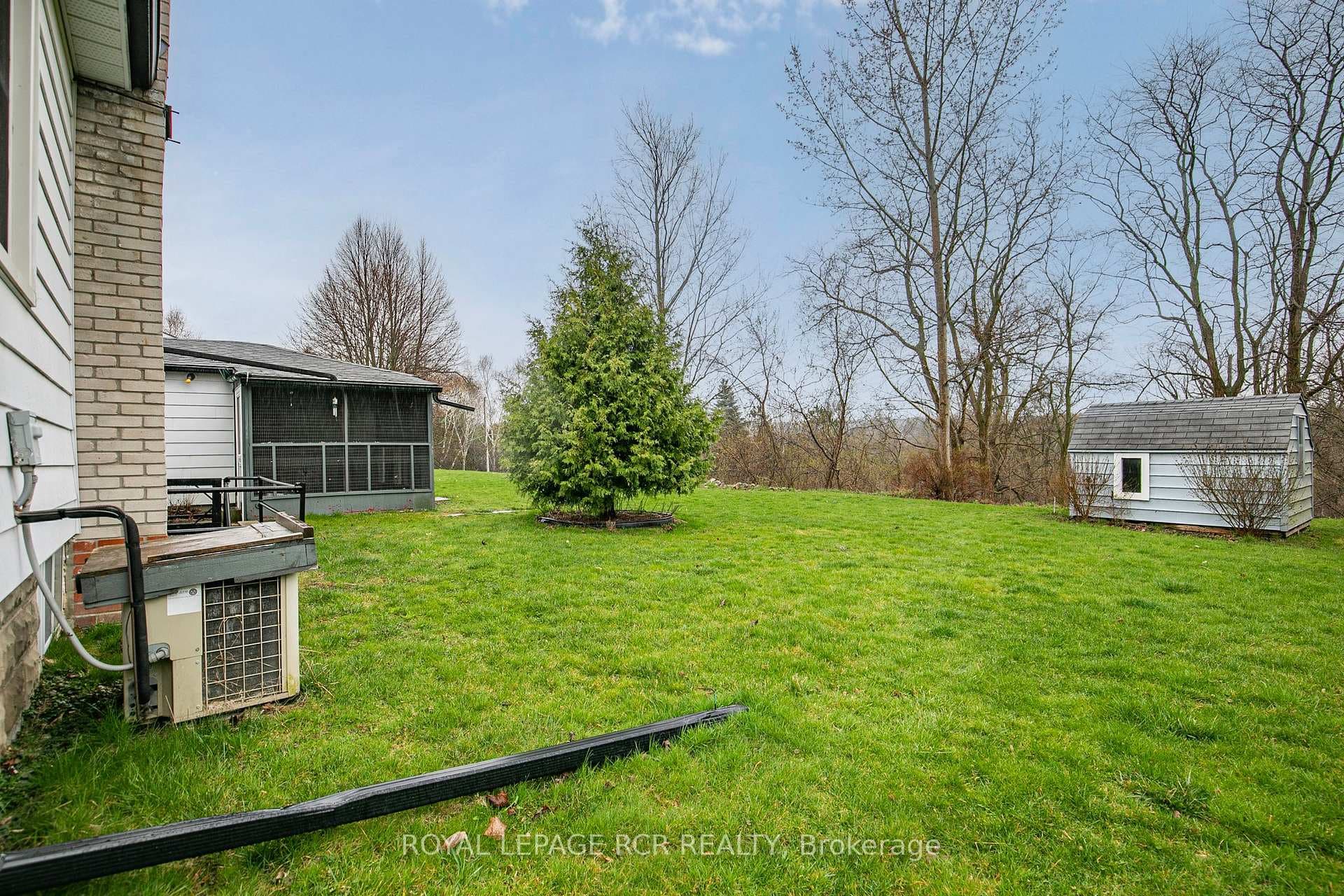 Upper level backyard.