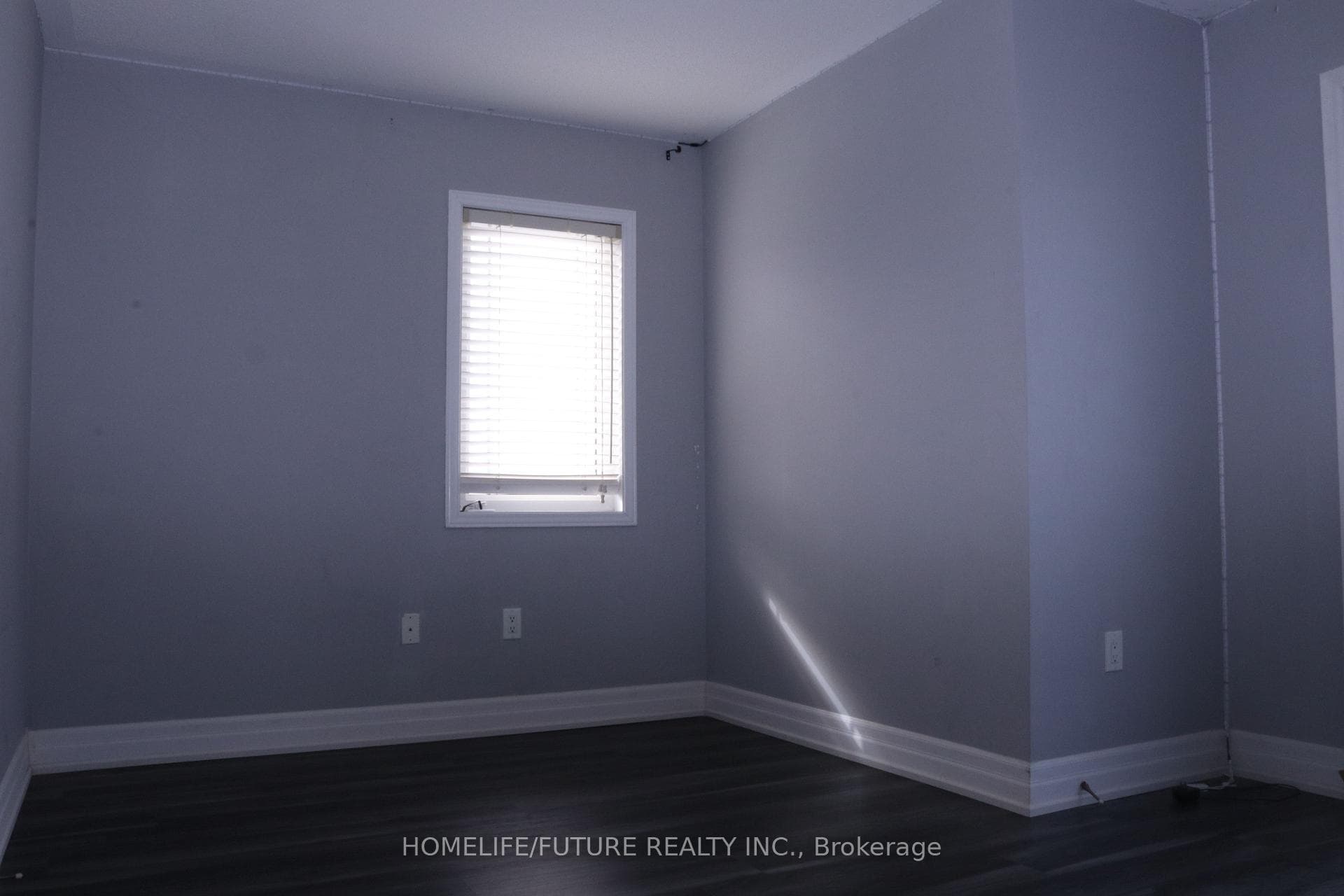 41 Hollier Drive photo 12