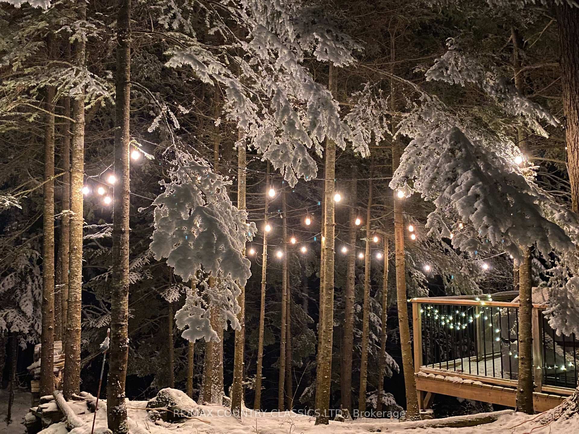Winter Wonderland