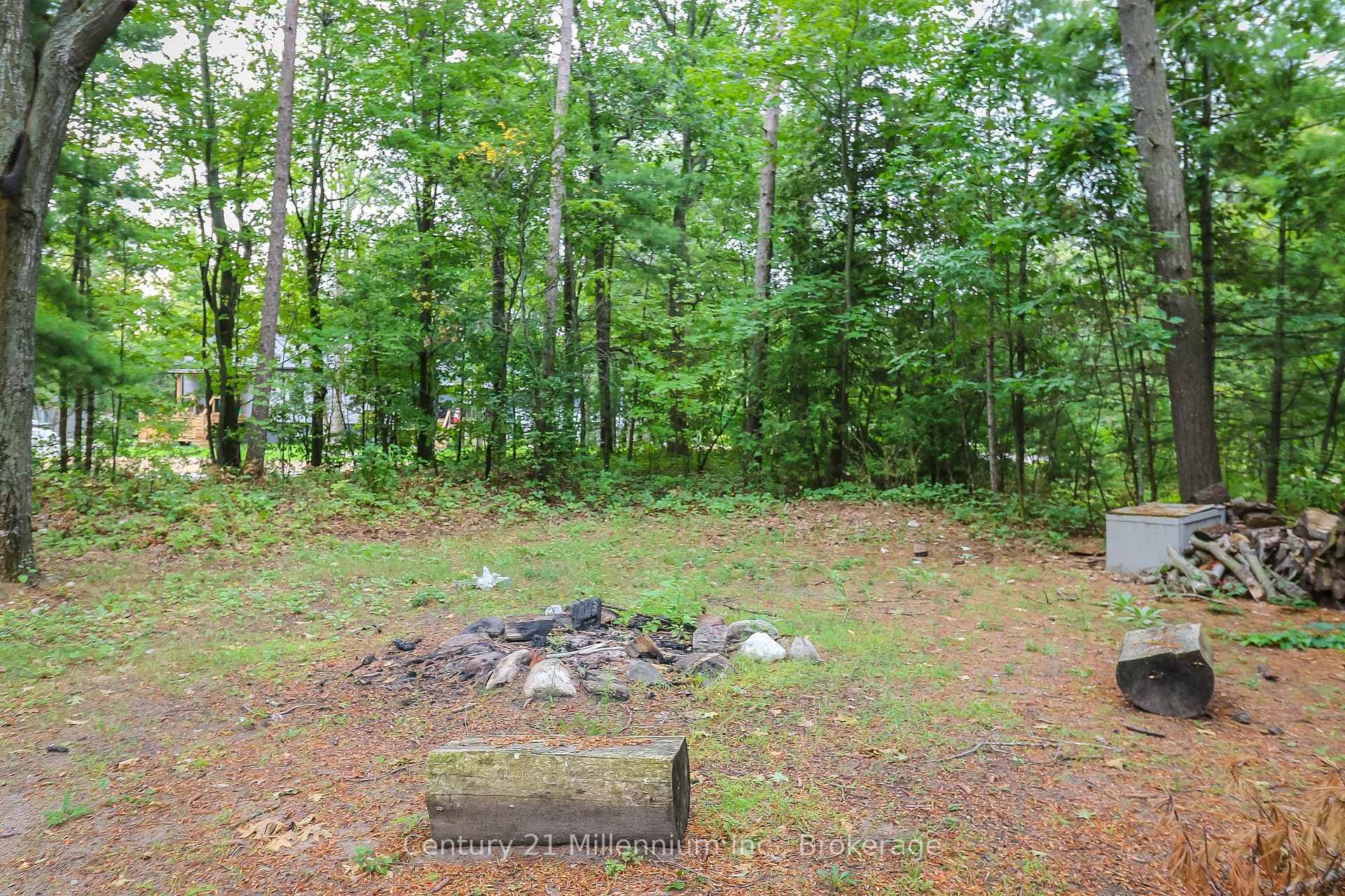 firepit area