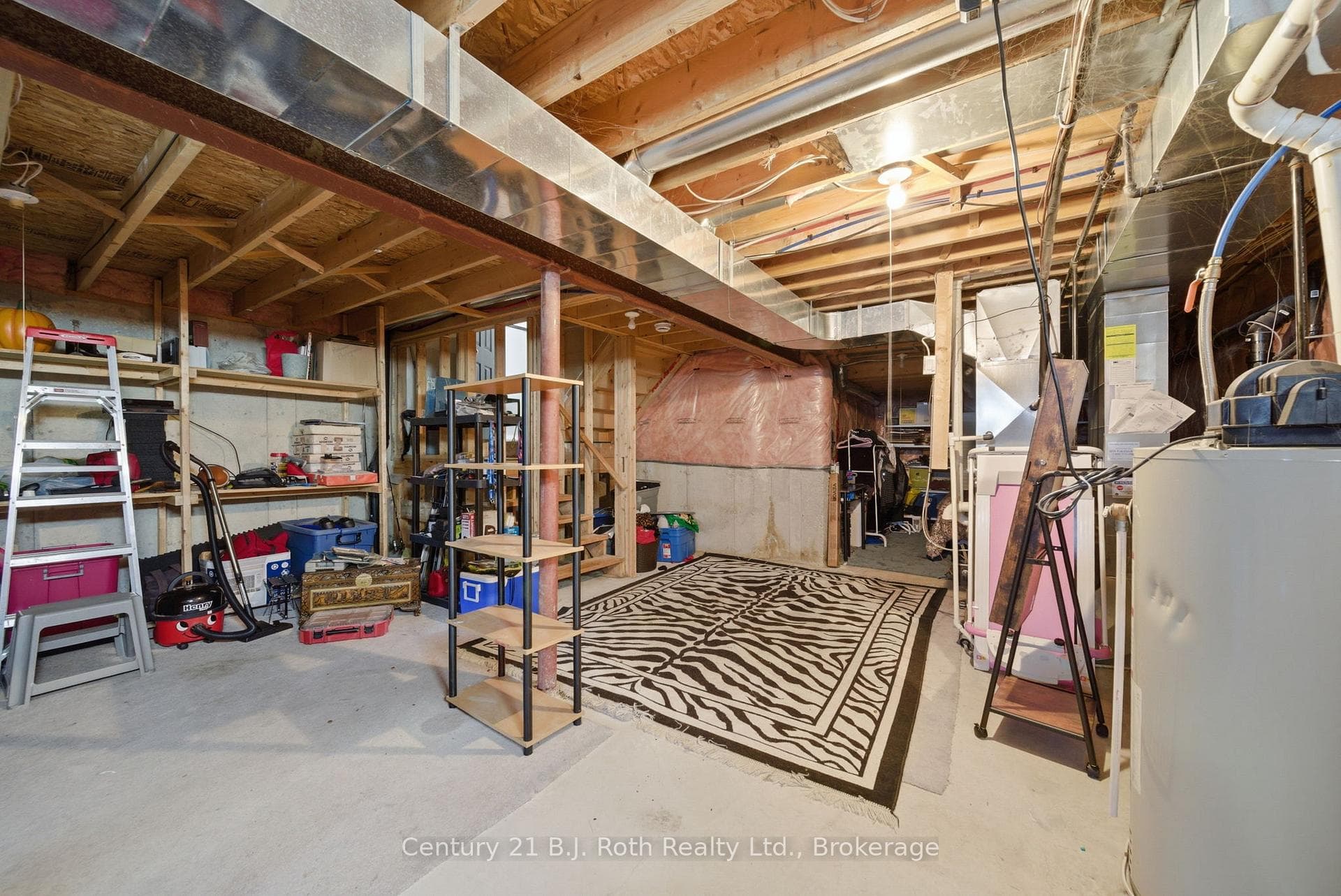 Unfinished Basement