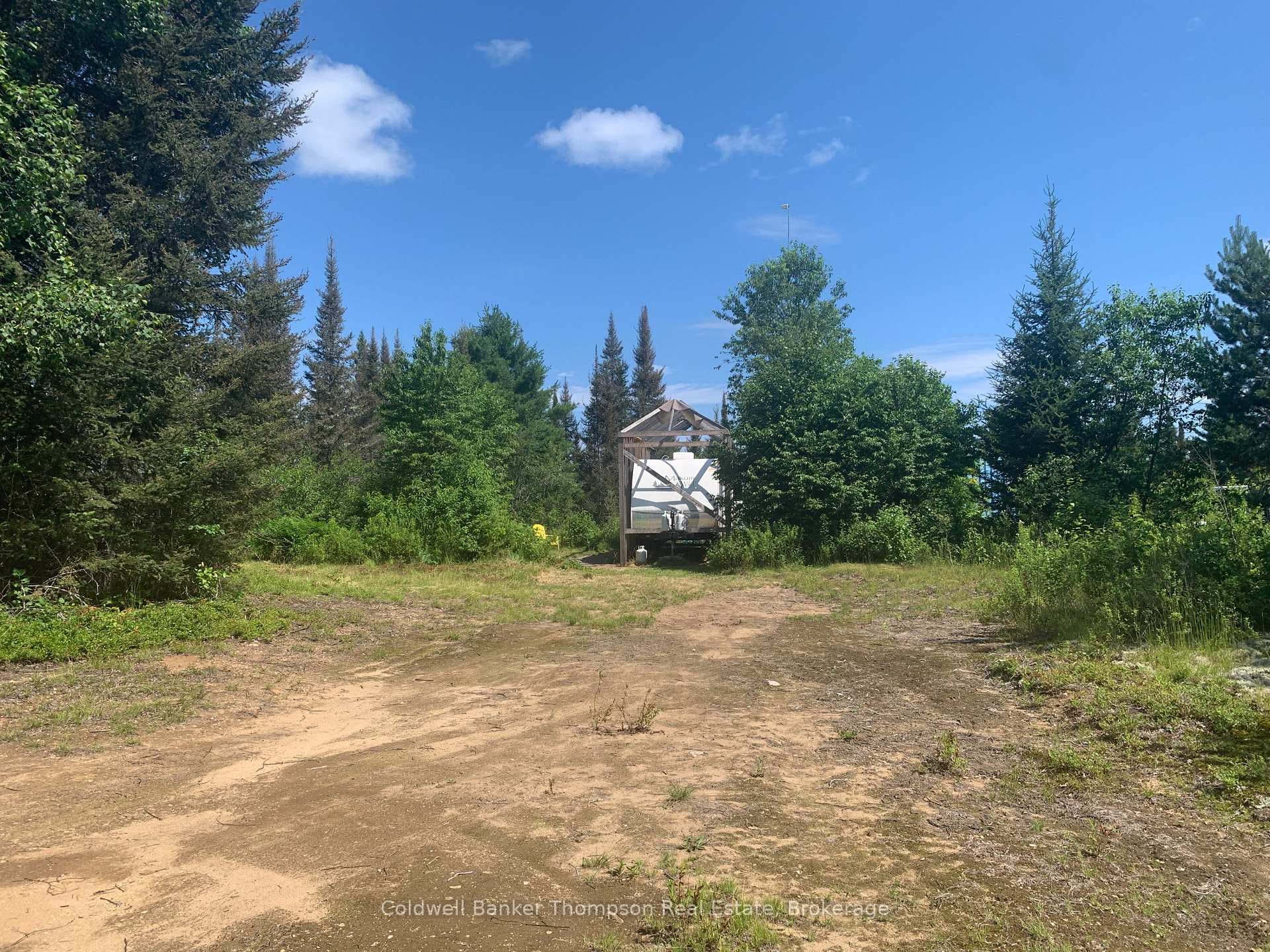 Clearing closest to the Road