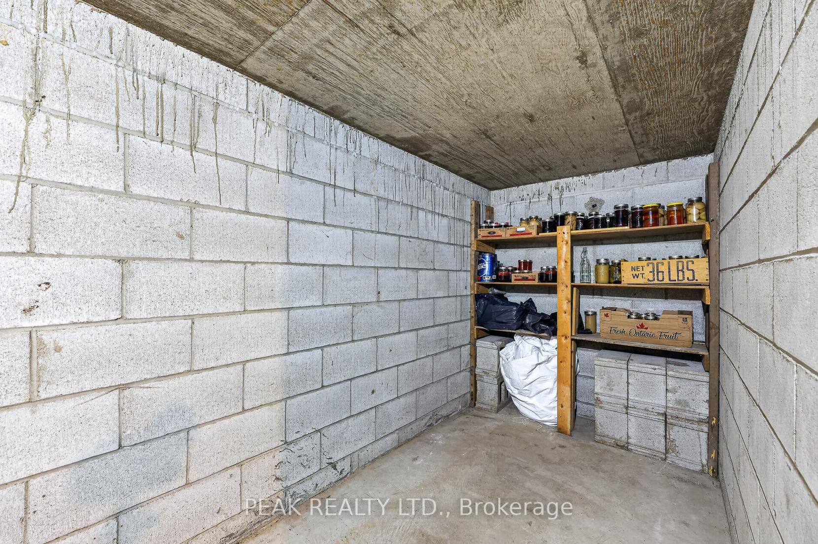 269 Robinson Street photo 49