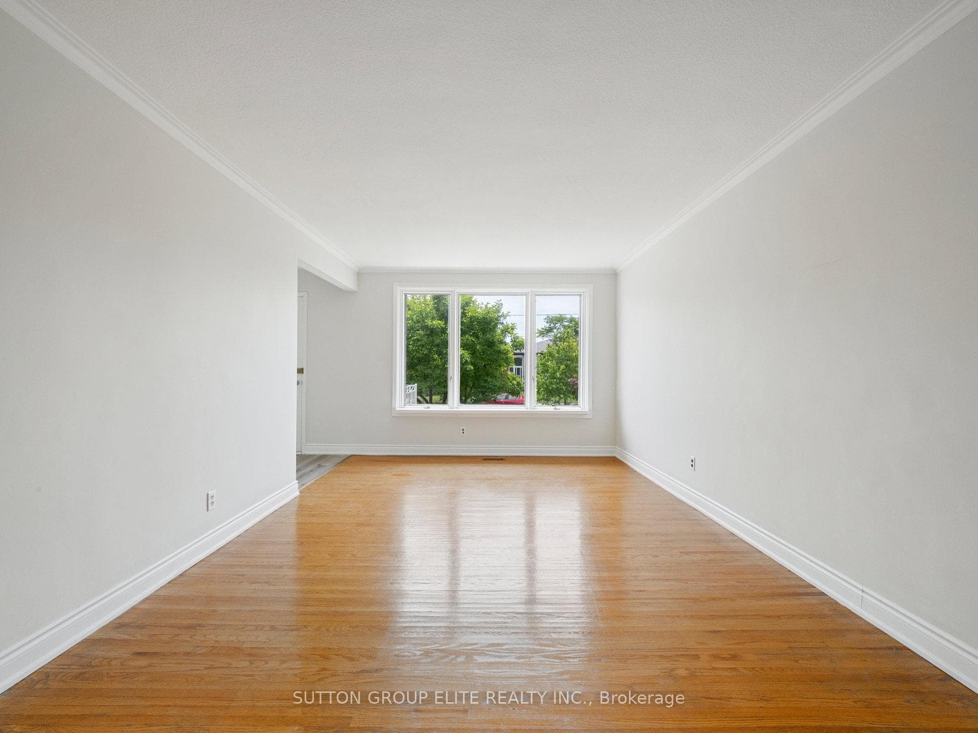 39 Gracedale Boulevard photo 7