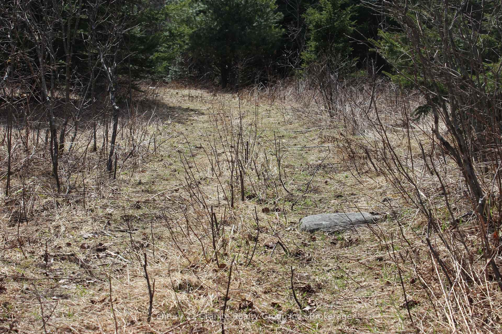 Trails throughout