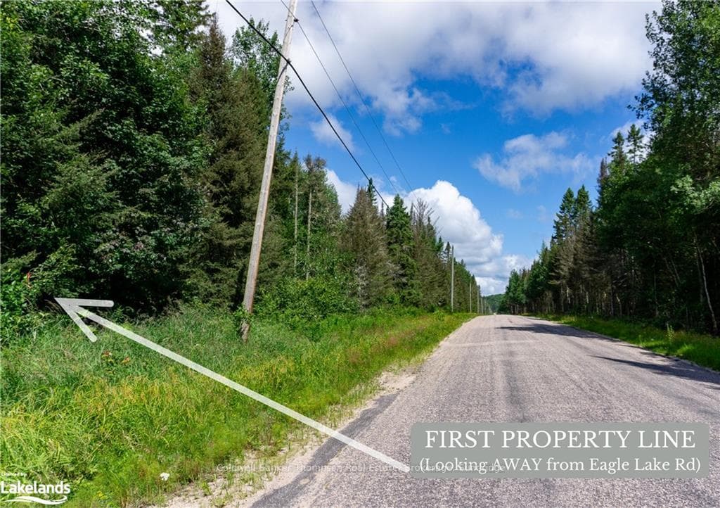 0 RIDING RANCH Road photo 4
