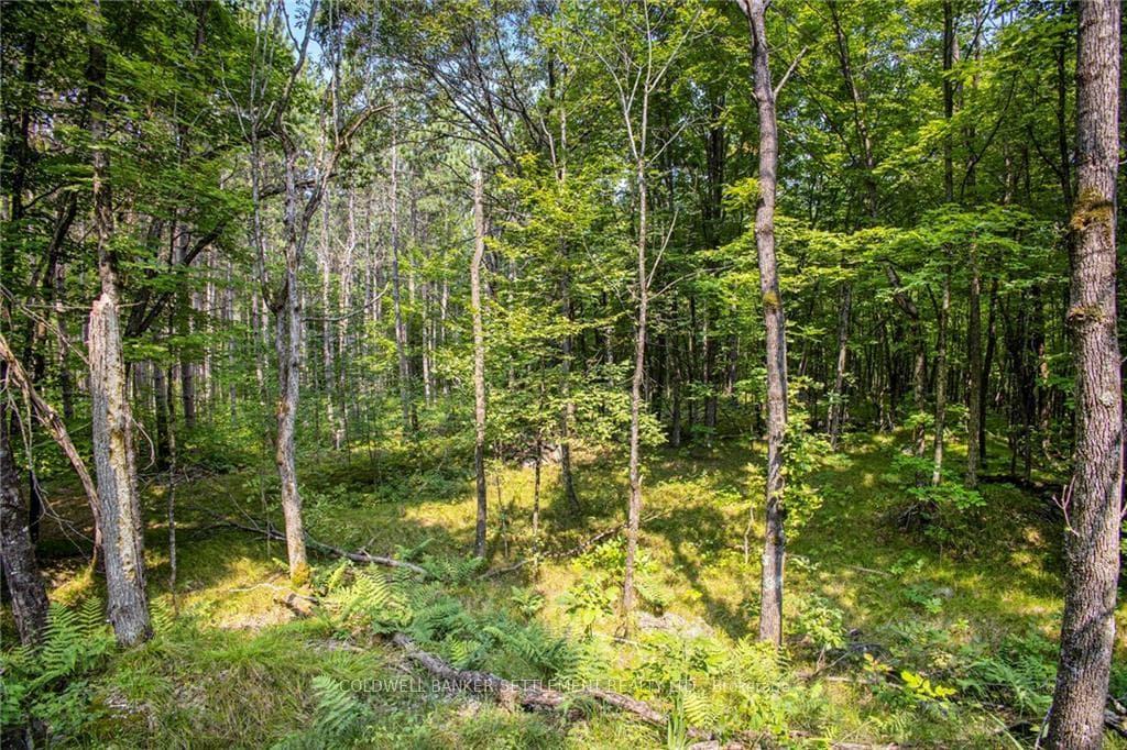 0 WADDLE CREEK Road photo 12