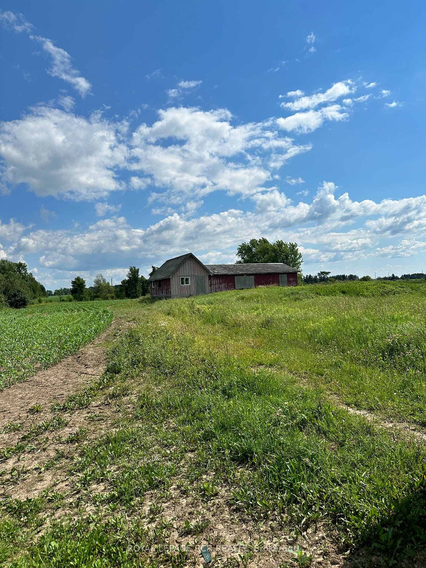 442082 Concession Rd 12-13 Road photo 7