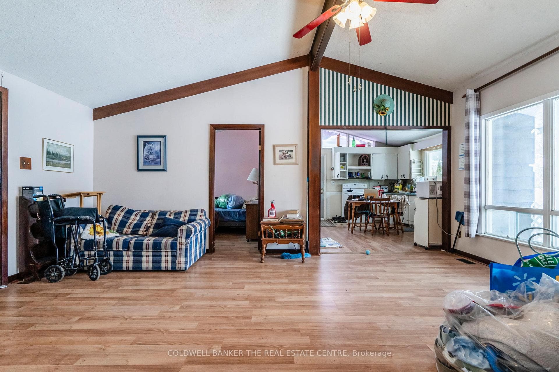 411 Mcnicoll Street photo 4