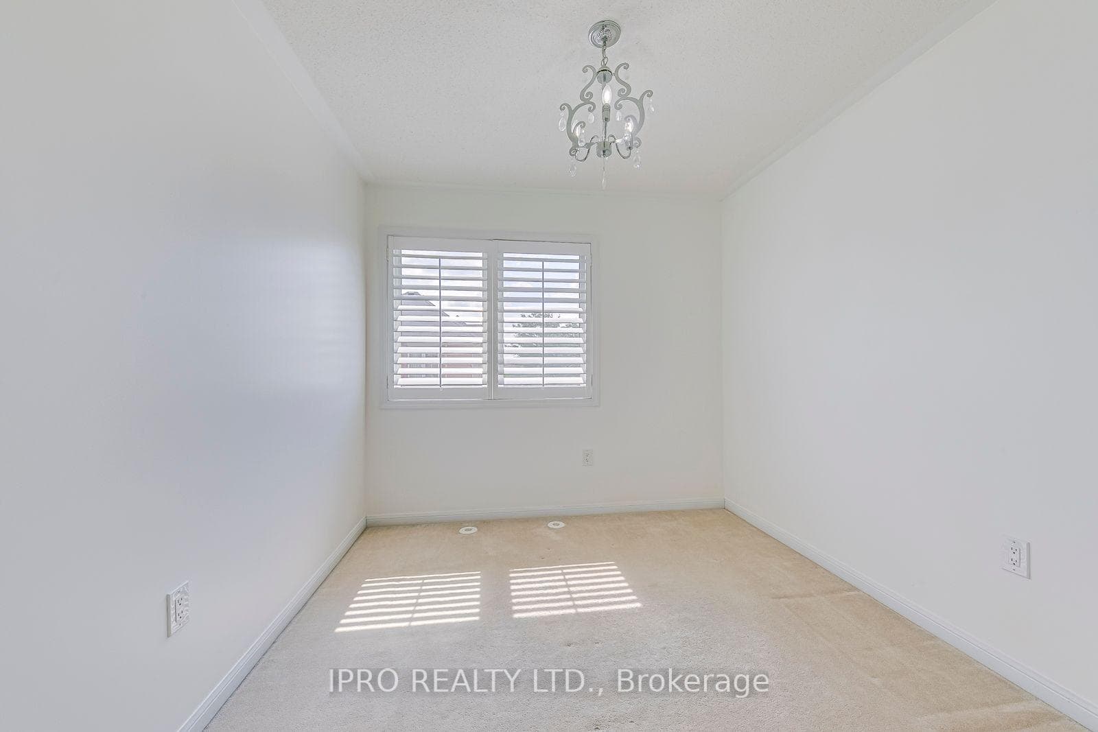 806 Maquire Terrace photo 19