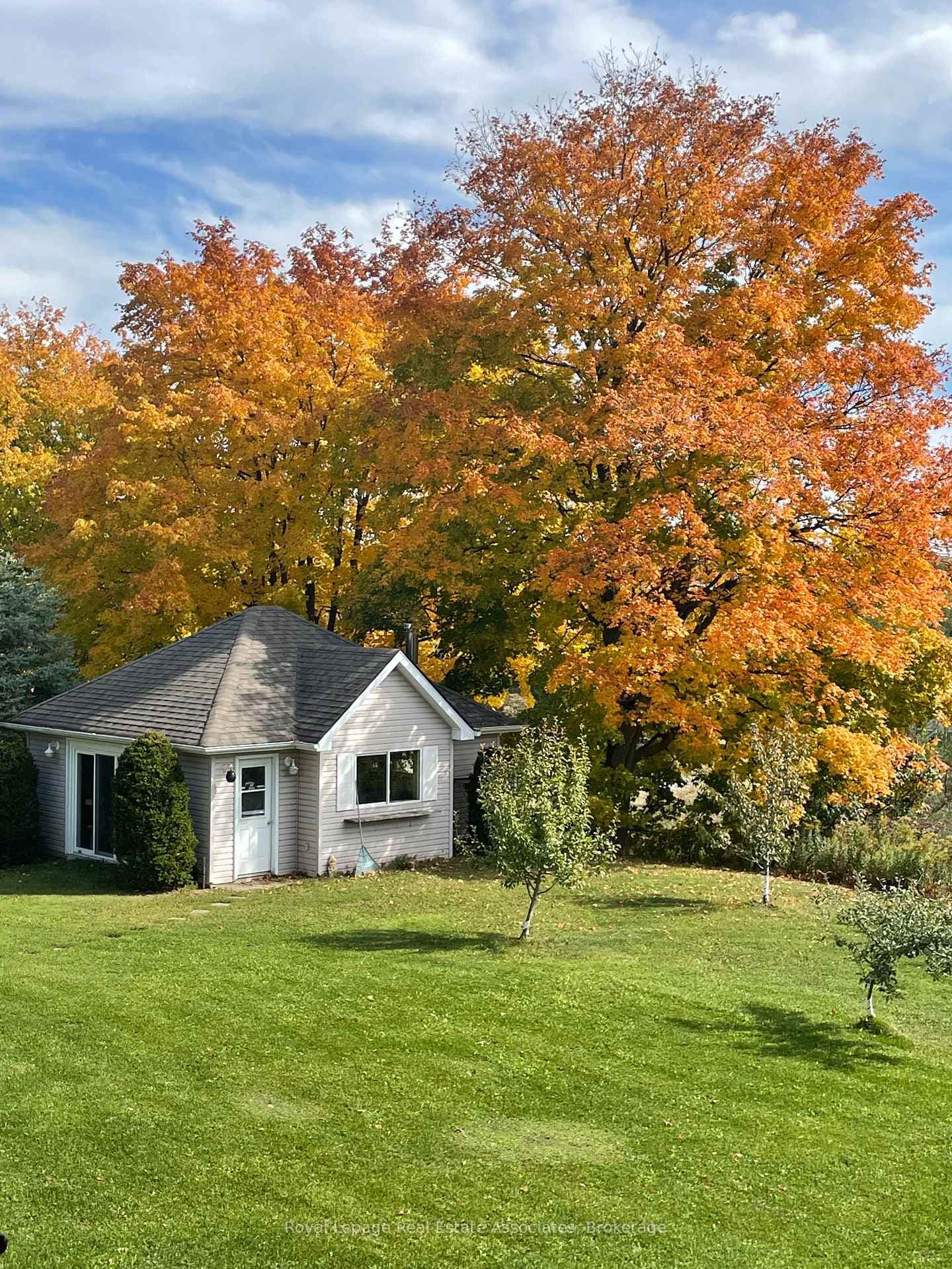10 Kildare Drive photo 38