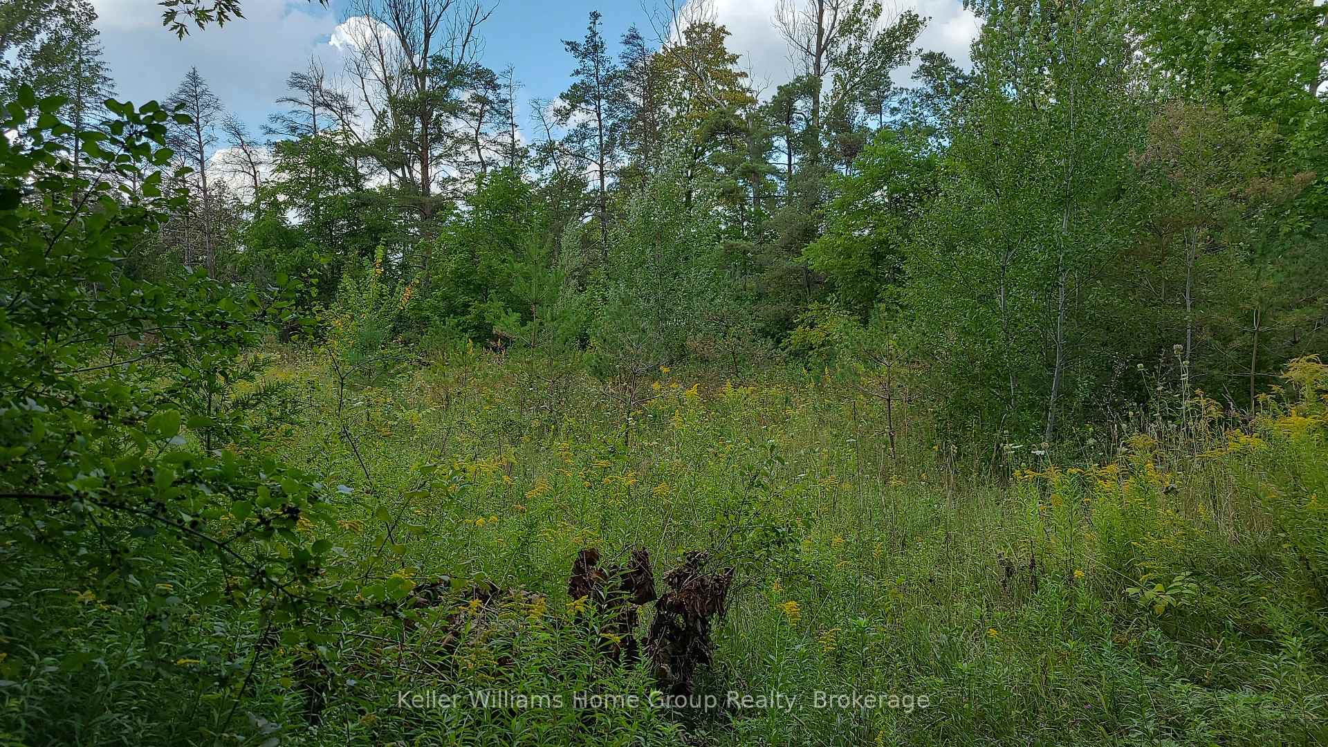 4875 WELLINGTON RD 29 N/A photo 18