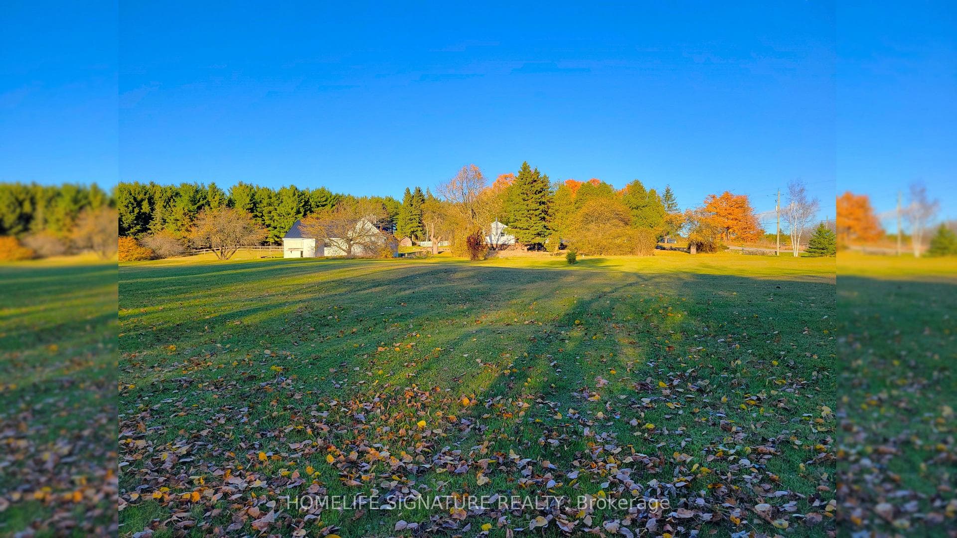 5273 25 Side Road photo 19