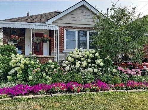 34 Normandy Road photo 5