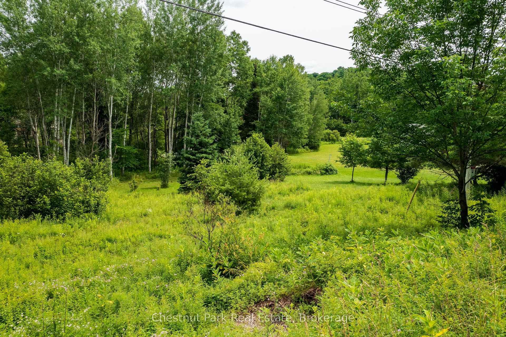 17 Vernon Lane photo 6