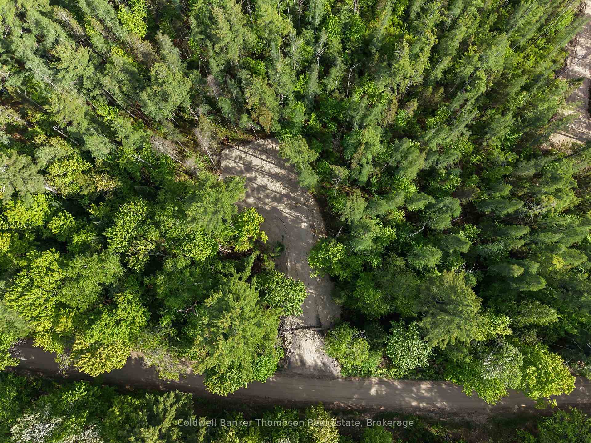 PART 6 AXE LAKE Road photo 1