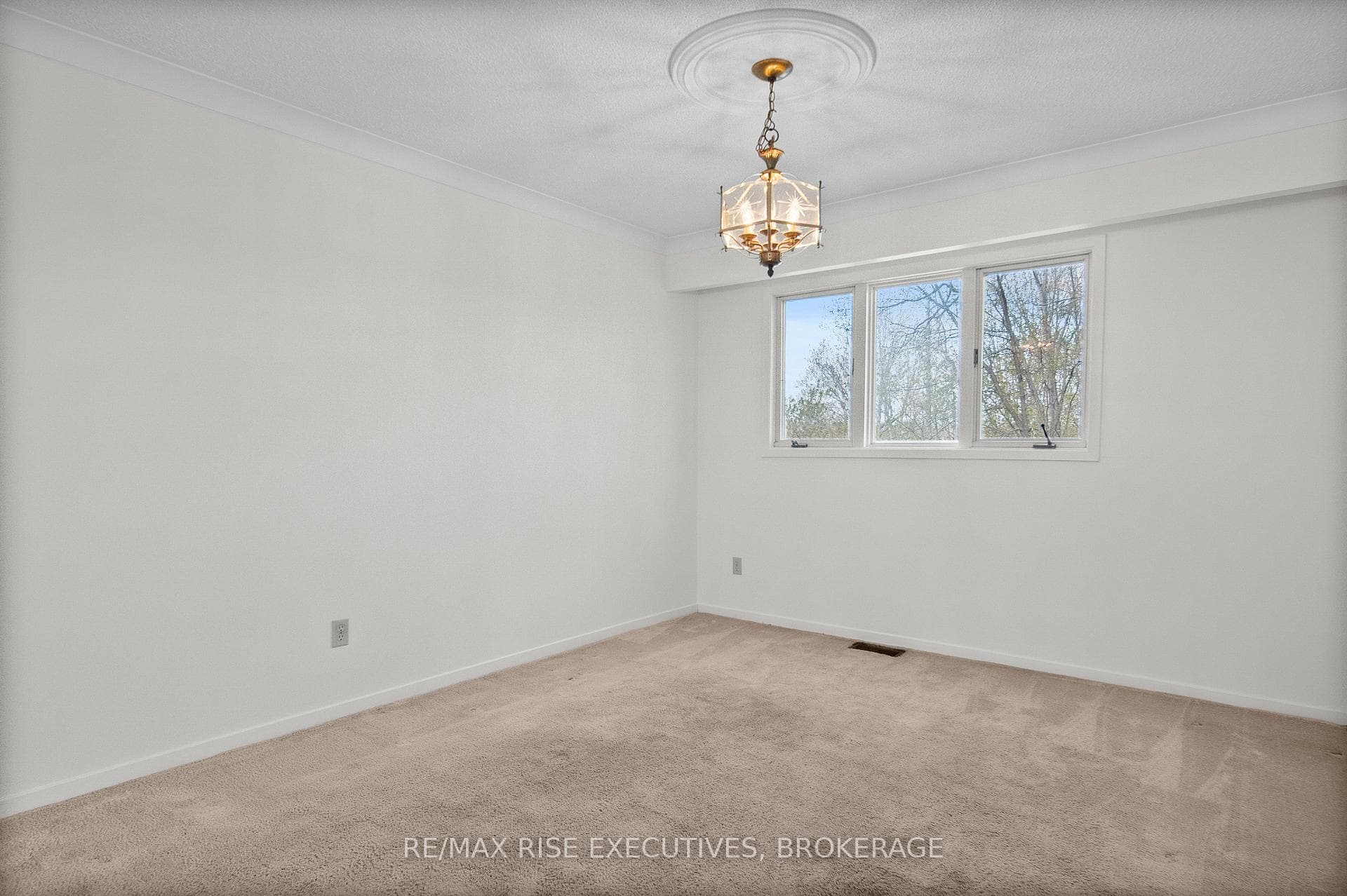 899 Safari Drive photo 10