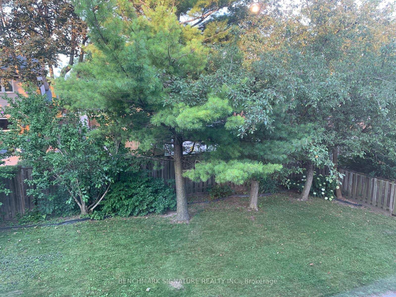 31 Melva Crescent photo 30