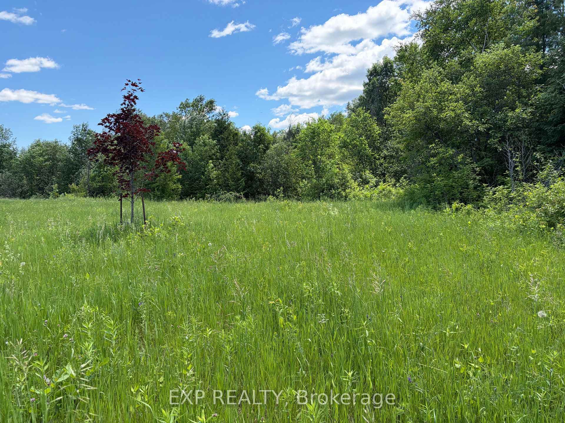 151 Chris Ruddy Road photo 3