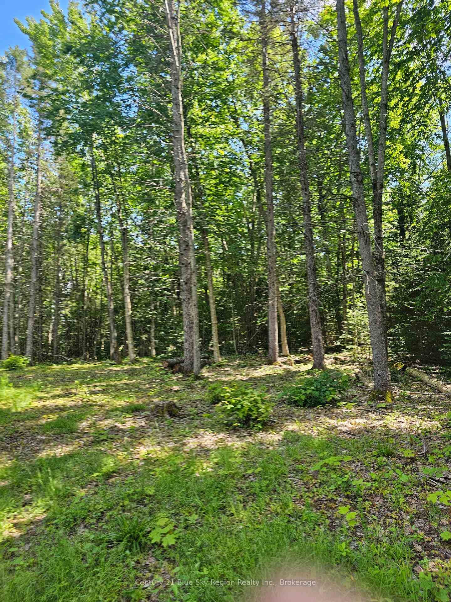 4369 Highway 534 N/A photo 16