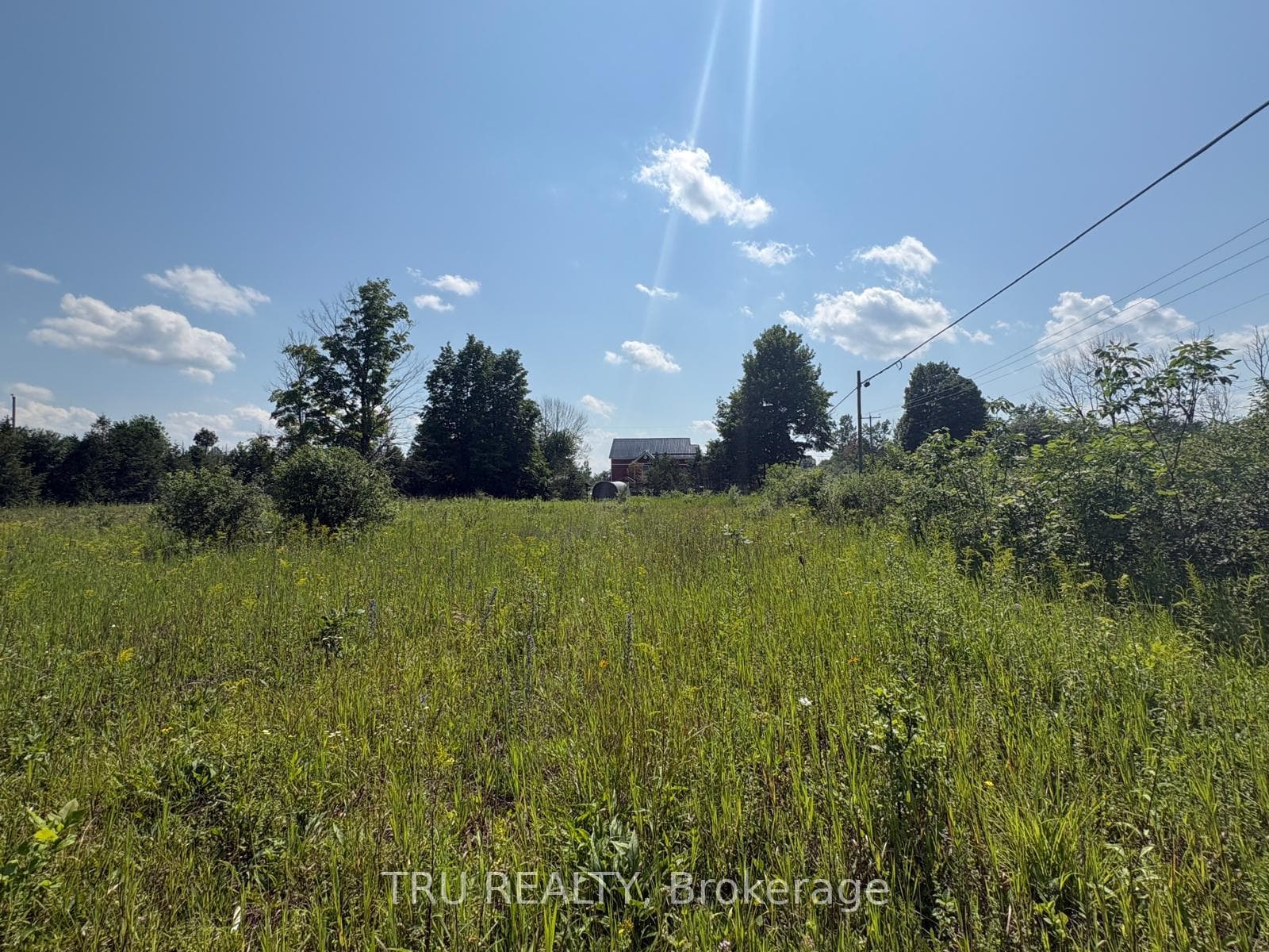 394 Scotch Line Road photo 15