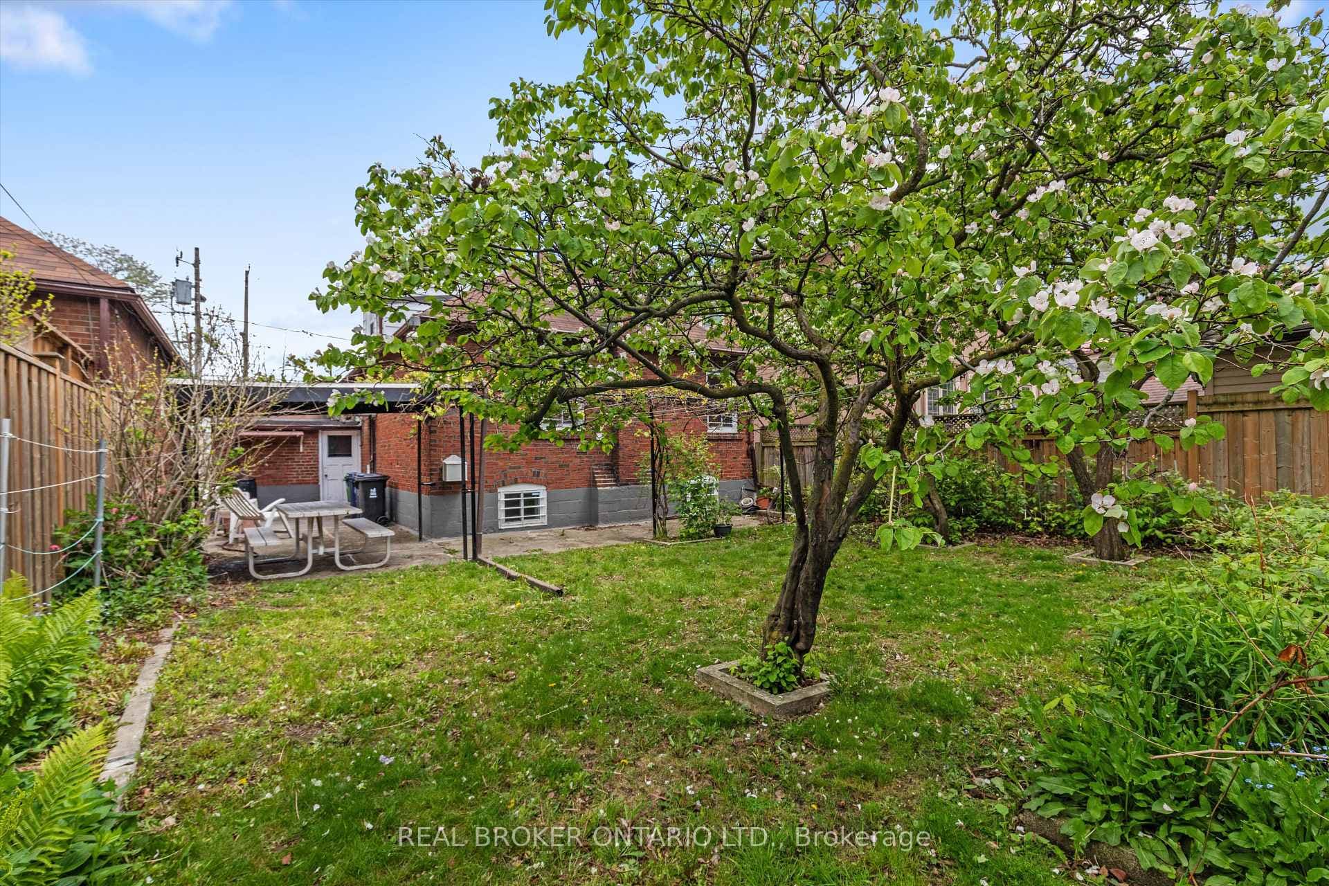 882 Coxwell Avenue photo 37