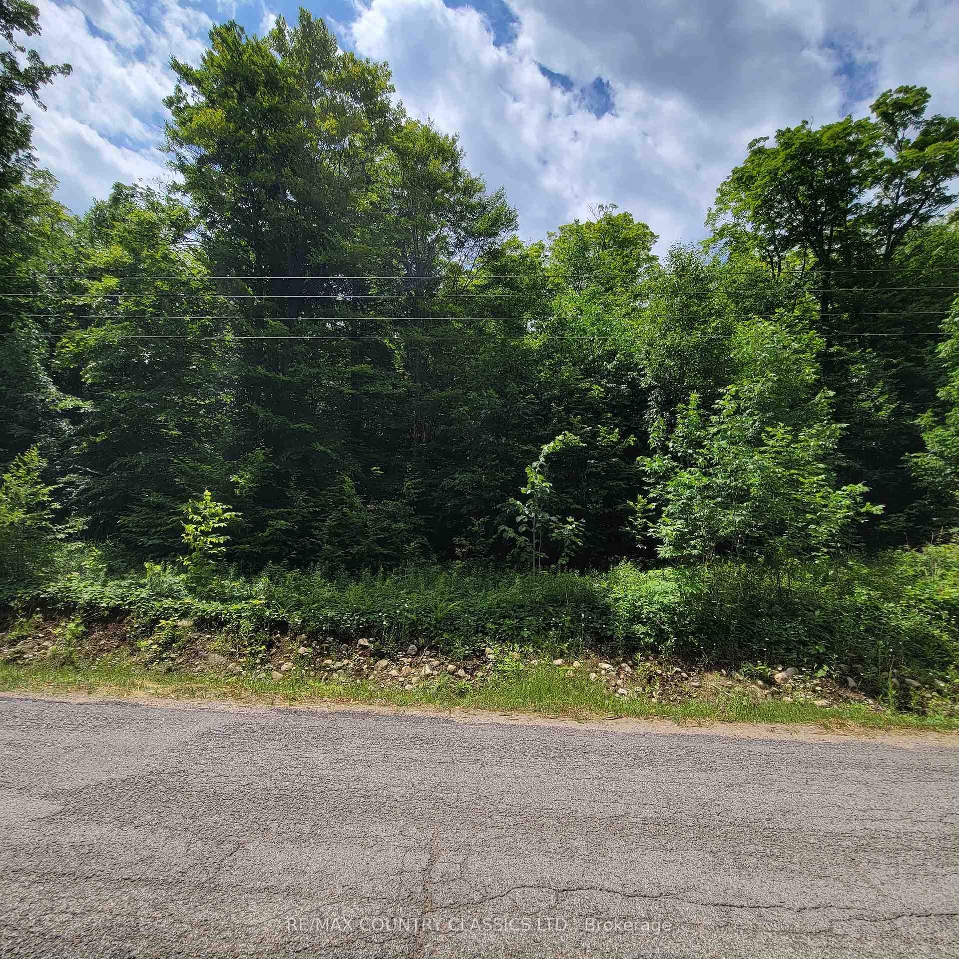 00 KAMANISKEG LAKE Road photo 10