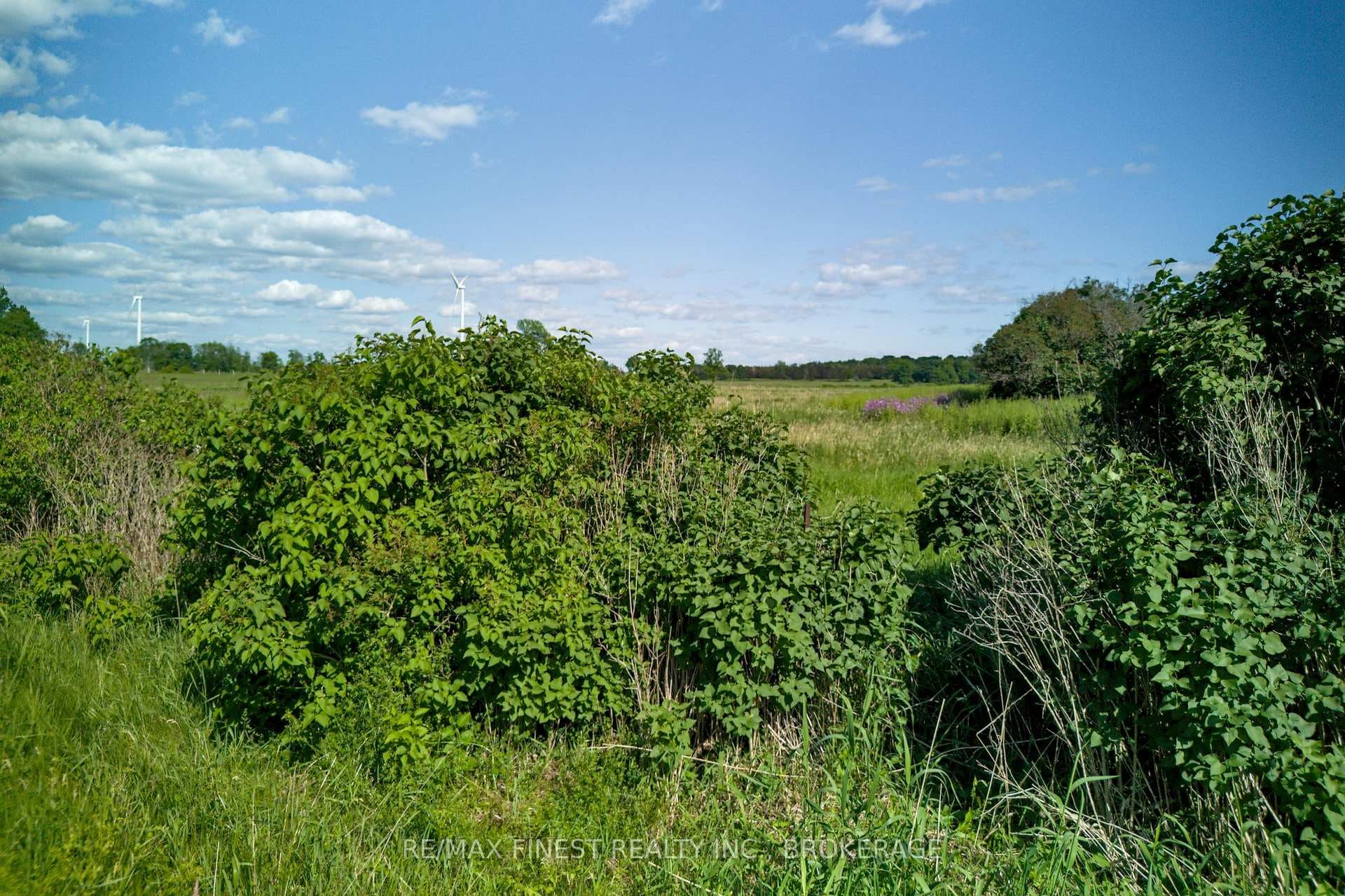 Lot 13 Front Road photo 32