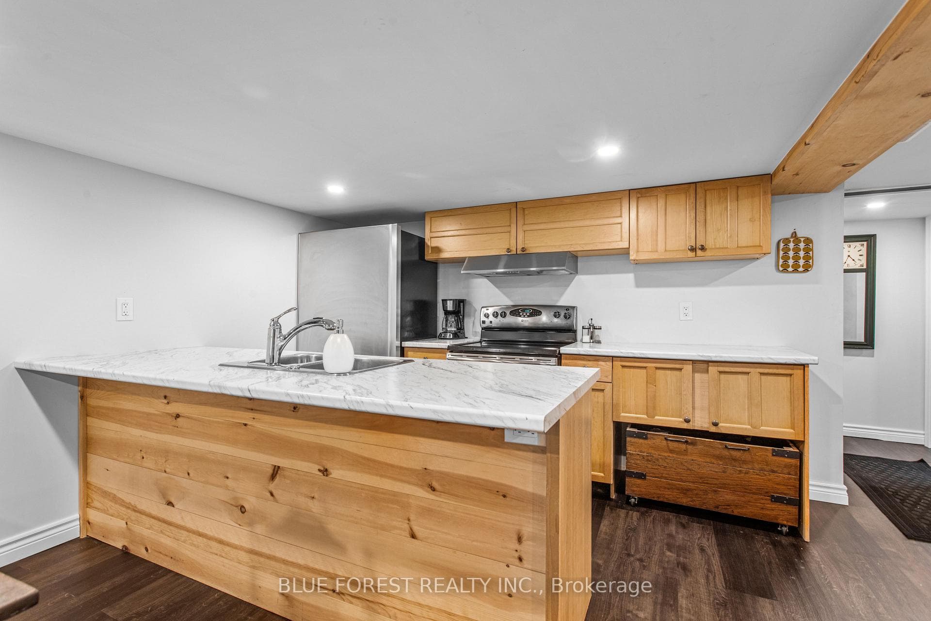 295 Buller Street photo 32